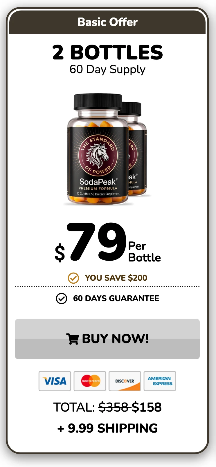 SodaPeak 2 bottles